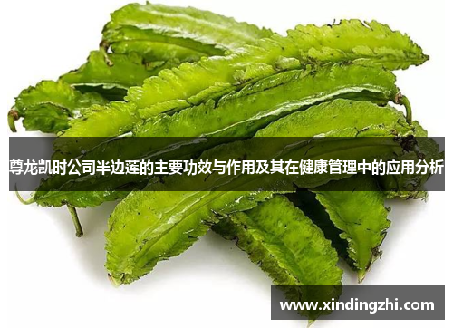 尊龙凯时公司半边莲的主要功效与作用及其在健康管理中的应用分析